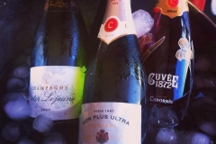 11182280_373951879457626_2701897922893540902_n