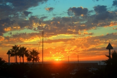 20160828_115631000_iOS