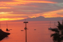 20160828_115644000_iOS